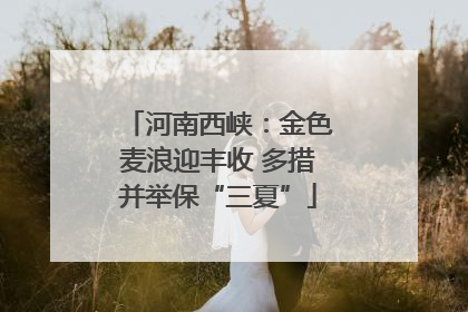 河南西峡：金色麦浪迎丰收 多措并举保“三夏”