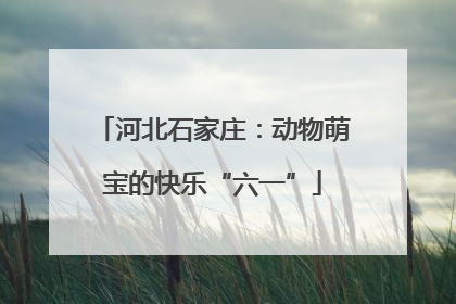 河北石家庄：动物萌宝的快乐“六一”