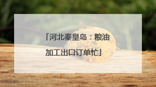 河北秦皇岛：粮油加工出口订单忙