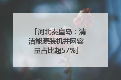 河北秦皇岛：清洁能源装机并网容量占比超57%