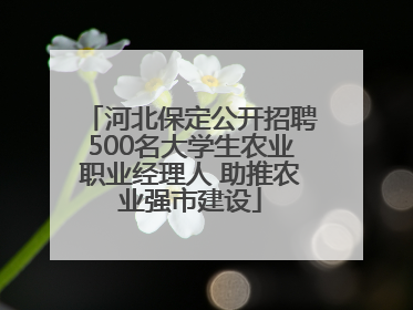 河北保定公开招聘500名大学生农业职业经理人 助推农业强市建设