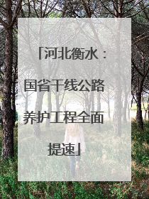 河北衡水：国省干线公路养护工程全面提速