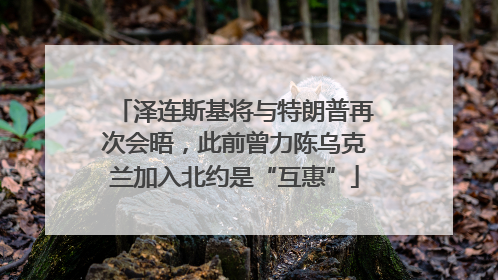 泽连斯基将与特朗普再次会晤，此前曾力陈乌克兰加入北约是“互惠”