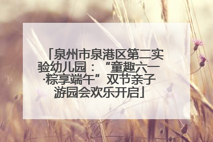 泉州市泉港区第二实验幼儿园：“童趣六一·粽享端午”双节亲子游园会欢乐开启