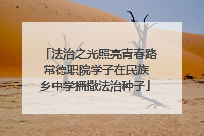 法治之光照亮青春路 常德职院学子在民族乡中学播撒法治种子