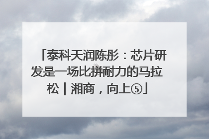 泰科天润陈彤：芯片研发是一场比拼耐力的马拉松｜湘商，向上⑤