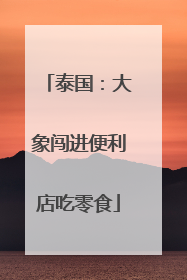 泰国：大象闯进便利店吃零食