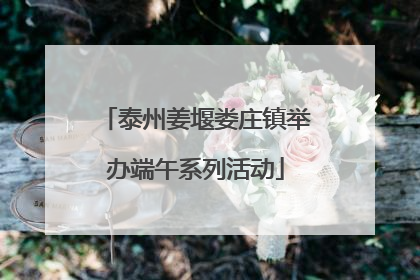 泰州姜堰娄庄镇举办端午系列活动