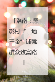 洛南：黑彰村“一地三金”铺就群众致富路