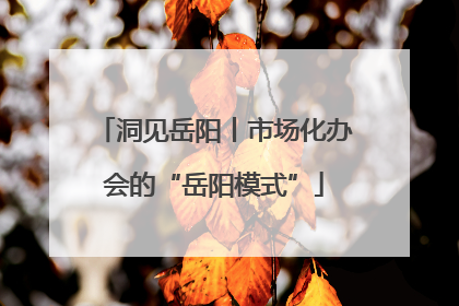 洞见岳阳丨市场化办会的“岳阳模式”