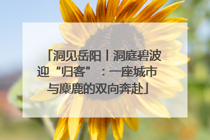 洞见岳阳丨洞庭碧波迎“归客”：一座城市与麋鹿的双向奔赴