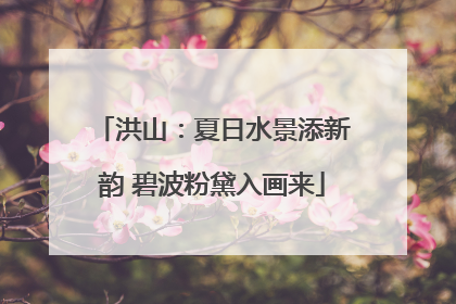 洪山：夏日水景添新韵 碧波粉黛入画来