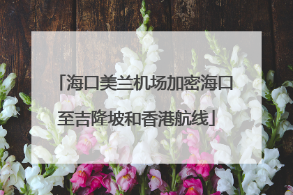 海口美兰机场加密海口至吉隆坡和香港航线