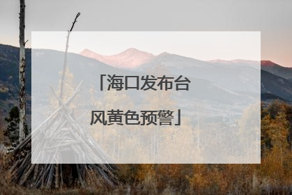 海口发布台风黄色预警