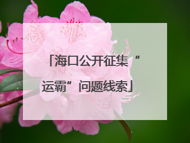 海口公开征集“运霸”问题线索