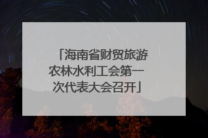 海南省财贸旅游农林水利工会第一次代表大会召开