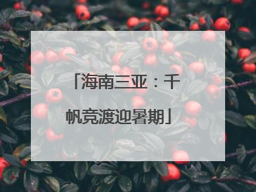 海南三亚：千帆竞渡迎暑期