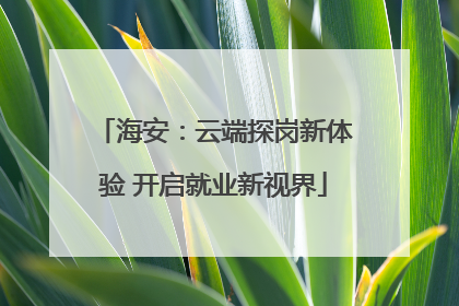 海安：云端探岗新体验 开启就业新视界