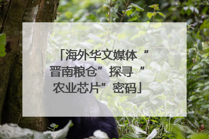 海外华文媒体“晋南粮仓”探寻“农业芯片”密码