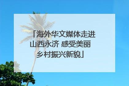海外华文媒体走进山西永济 感受美丽乡村振兴新貌