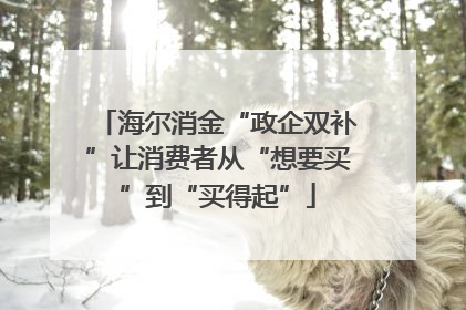 海尔消金“政企双补”让消费者从“想要买”到“买得起”