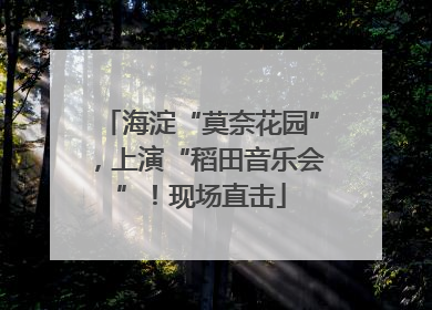 海淀“莫奈花园”，上演“稻田音乐会”！现场直击