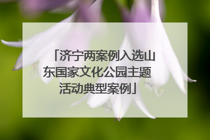 济宁两案例入选山东国家文化公园主题活动典型案例