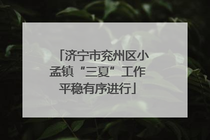 济宁市兖州区小孟镇“三夏”工作平稳有序进行