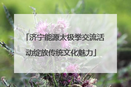 济宁能源太极拳交流活动绽放传统文化魅力