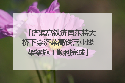 济滨高铁济南东特大桥下穿济莱高铁营业线架梁施工顺利完成