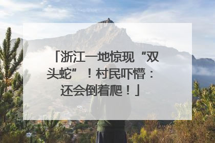 浙江一地惊现“双头蛇”！村民吓懵：还会倒着爬！