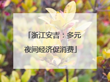 浙江安吉：多元夜间经济促消费