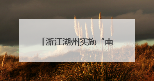 浙江湖州实施“南太湖党外年轻干部成长助推计划”