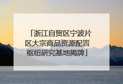 浙江自贸区宁波片区大宗商品资源配置枢纽研究基地揭牌