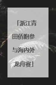 浙江青田侨胞参与海内外龙舟赛