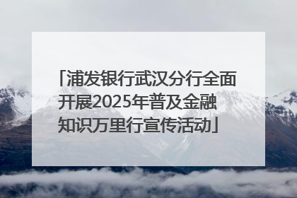 浦发银行武汉分行全面开展2025年普及金融知识万里行宣传活动