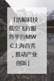 浩鲸科技低空飞行服务平台MWC上海首秀，推动产业创新