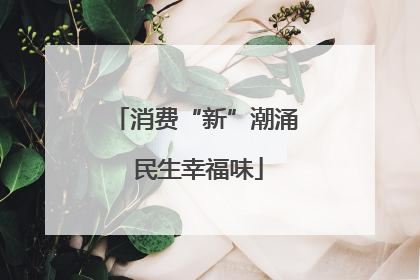 消费“新”潮涌 民生幸福味
