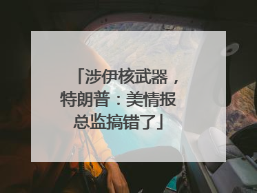 涉伊核武器，特朗普：美情报总监搞错了