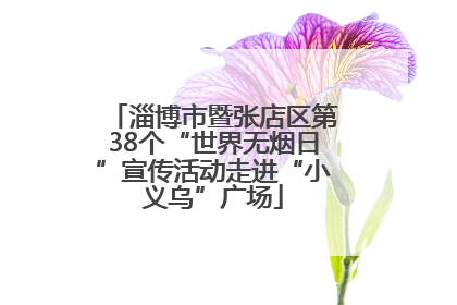 淄博市暨张店区第38个“世界无烟日”宣传活动走进“小义乌”广场