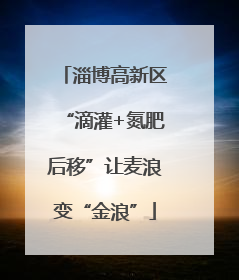 淄博高新区“滴灌+氮肥后移”让麦浪变“金浪”