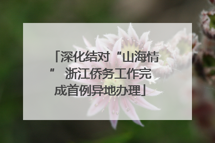 深化结对“山海情” 浙江侨务工作完成首例异地办理