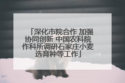深化市院合作 加强协同创新 中国农科院作科所调研石家庄小麦选育种等工作