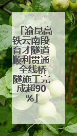 渝昆高铁云南段育才隧道顺利贯通 全线桥隧施工完成超90%