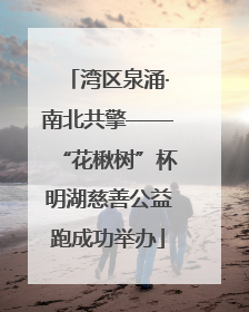 湾区泉涌·南北共擎——“花楸树”杯明湖慈善公益跑成功举办