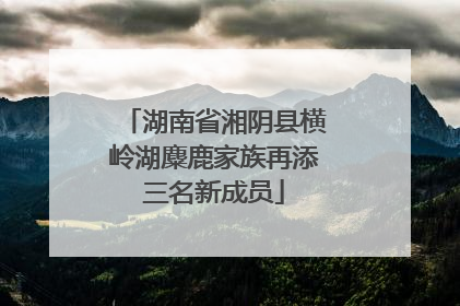 湖南省湘阴县横岭湖麋鹿家族再添三名新成员