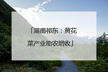 湖南祁东：黄花菜产业助农增收
