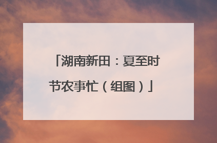 湖南新田：夏至时节农事忙（组图）