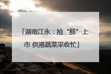 湖南江永：抢“鲜”上市 供港蔬菜采收忙