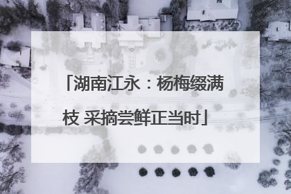 湖南江永：杨梅缀满枝 采摘尝鲜正当时